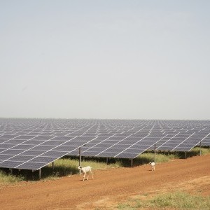 Senergy 2 (Sénégal)